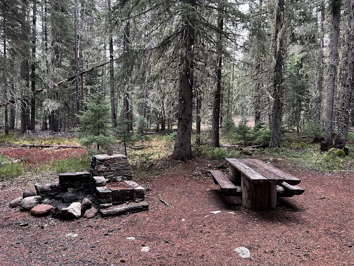 Thielsen Forest Camp Picture 10