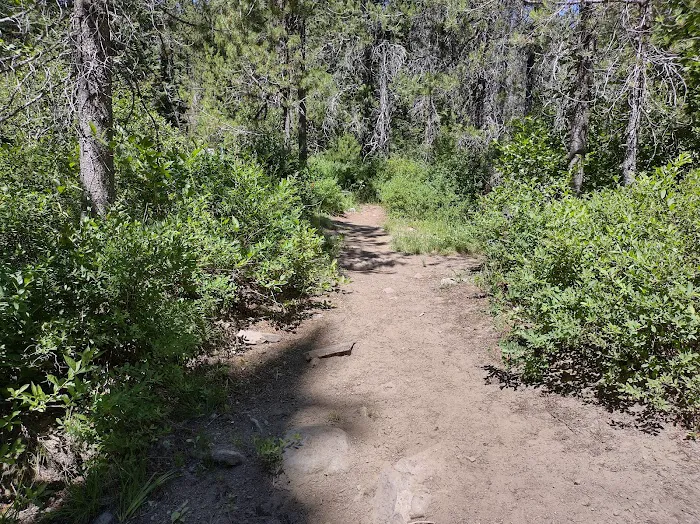 Kelsay Valley Horse Camp Picture 5