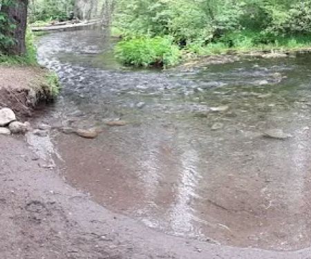 Kelsay Valley Horse Camp