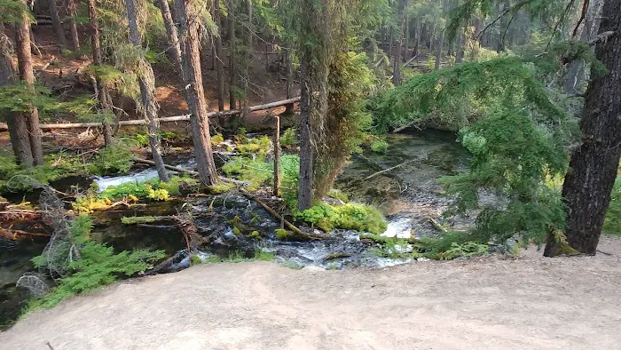 Clearwater Falls Campground (Lower) Picture 8