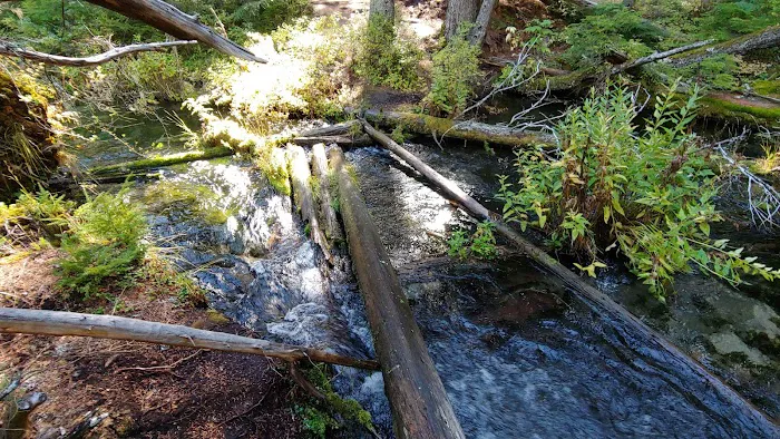 Clearwater Falls Campground (Lower) Picture 9