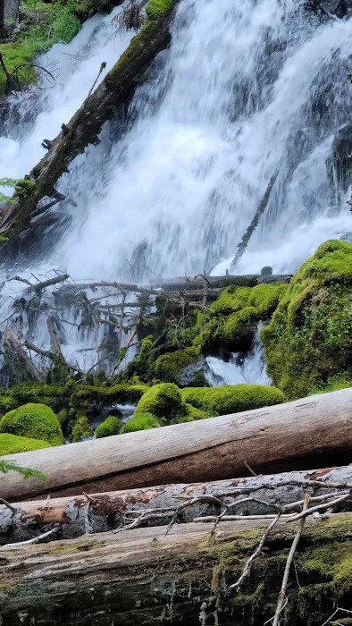 Clearwater Falls Campground (Lower) Picture 6