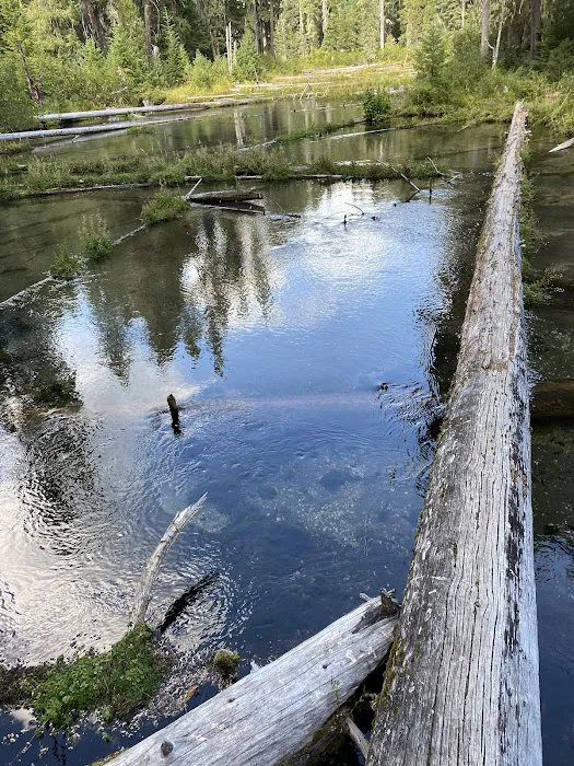 Clearwater Falls Campground (Lower) Picture 4