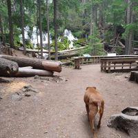 Clearwater Falls Campground (Lower) ico