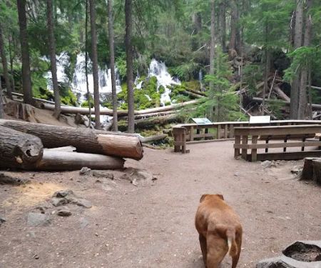 Clearwater Falls Campground (Lower)