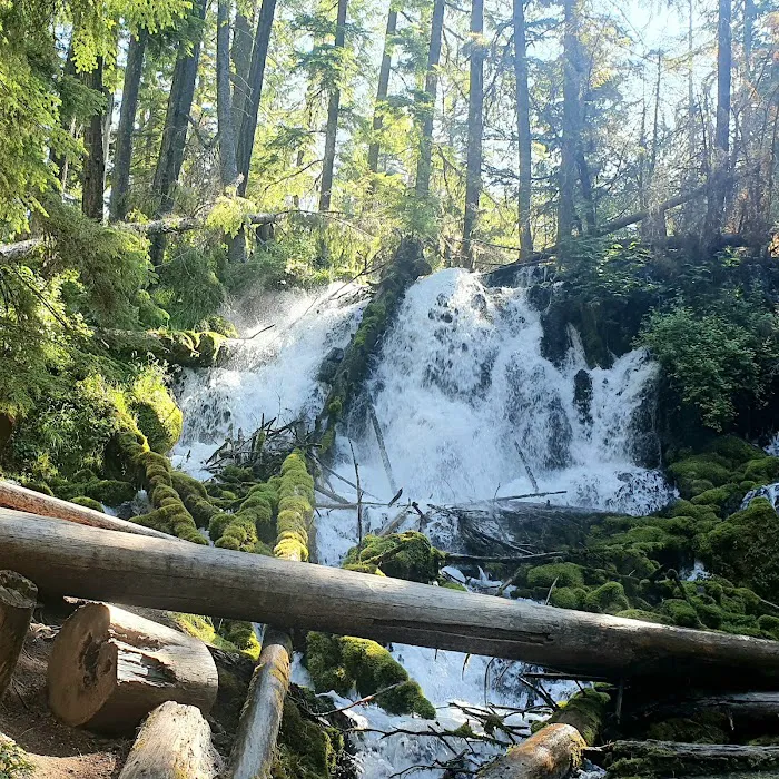 Clearwater Falls Campground (Lower) Picture 7