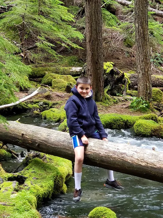 Clearwater Falls Campground (Lower) Picture 10