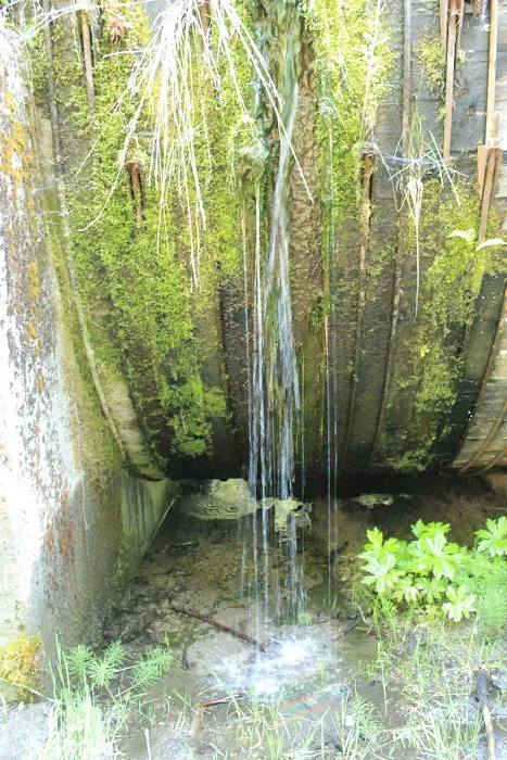 Whitehorse Falls Campground Picture 10
