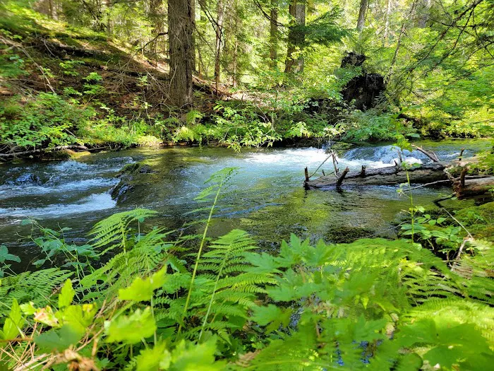 Whitehorse Falls Campground Picture 3