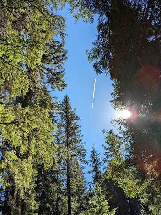 Whitehorse Falls Campground Picture 6