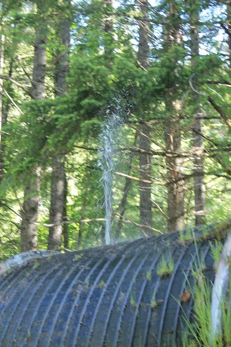 Whitehorse Falls Campground Picture 2