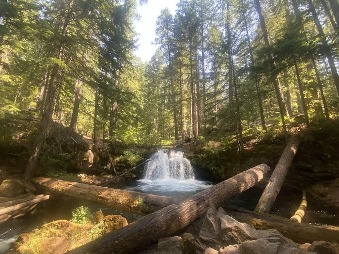 Whitehorse Falls Campground Picture 8