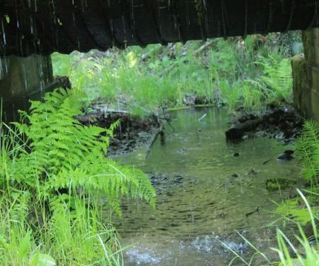 Whitehorse Falls Campground