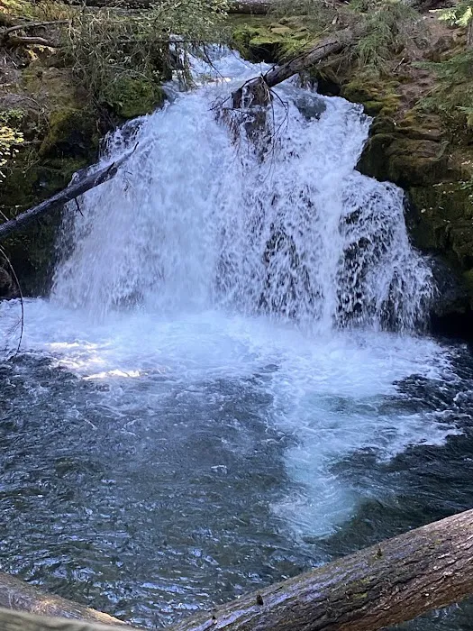 Whitehorse Falls Campground Picture 4