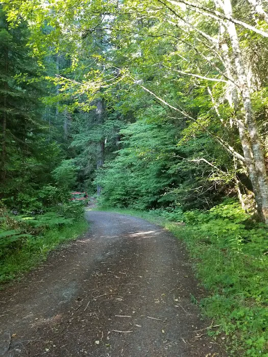 Camas Creek Forest Camp Picture 5