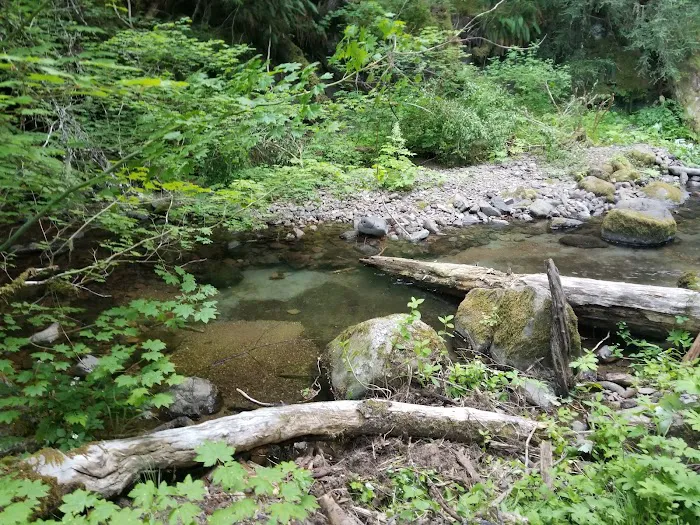 Camas Creek Forest Camp Picture 6