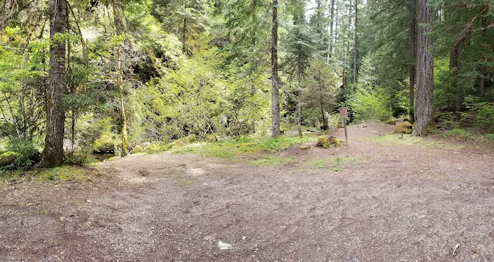 Camas Creek Forest Camp Picture 2