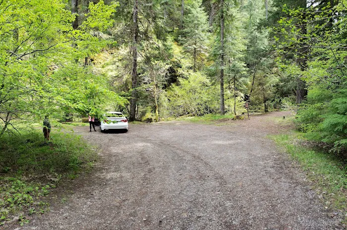 Camas Creek Forest Camp Picture 3