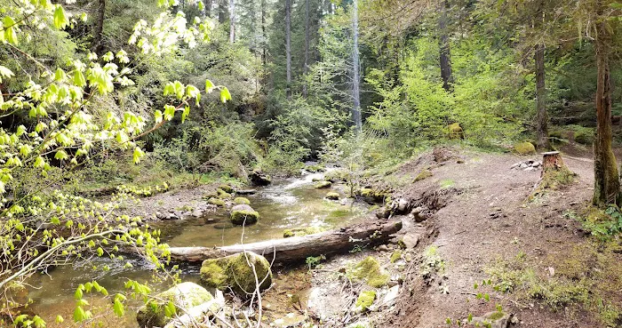 Camas Creek Forest Camp Picture 1