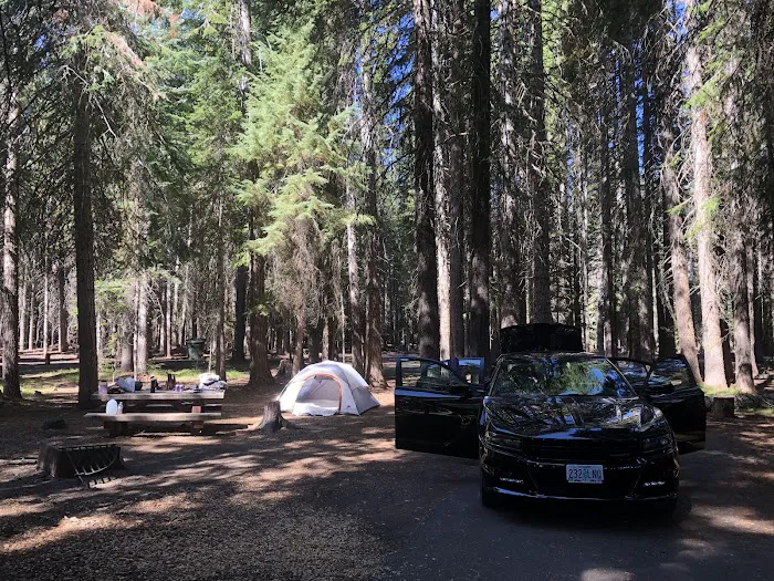 Thielsen View Campground Picture 2