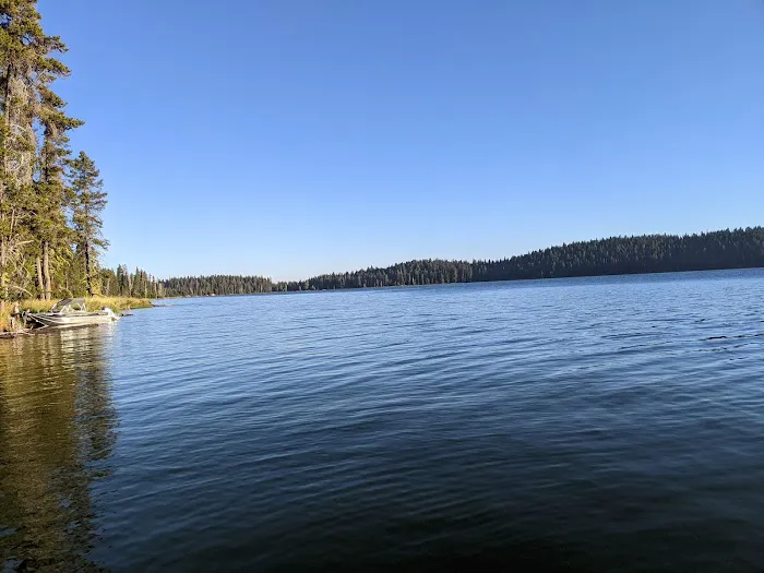 Thielsen View Campground Picture 4