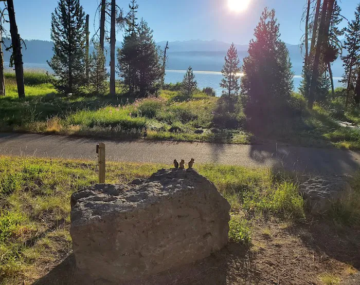 Thielsen View Campground Picture 9