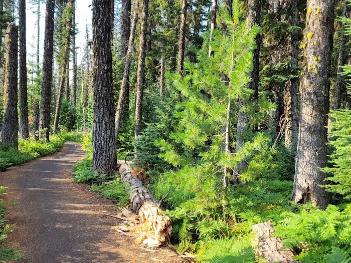 Thielsen View Campground Picture 6