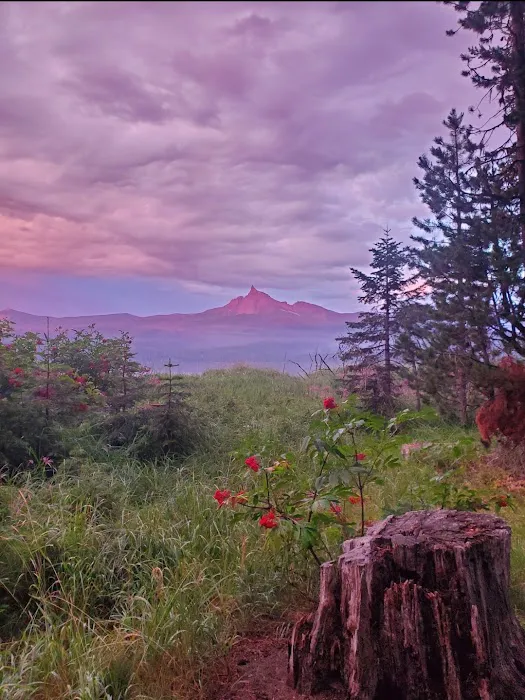 Thielsen View Campground Picture 1