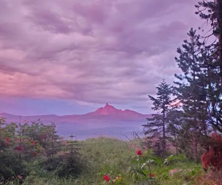 Thielsen View Campground