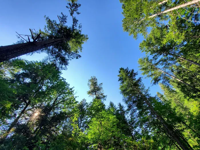 Apple Creek Campground Picture 6