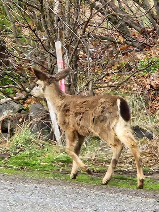 Dry Creek (community) Picture 1