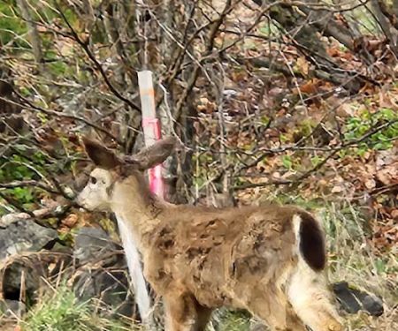 Dry Creek (community)