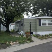 Parklane Holdings ico