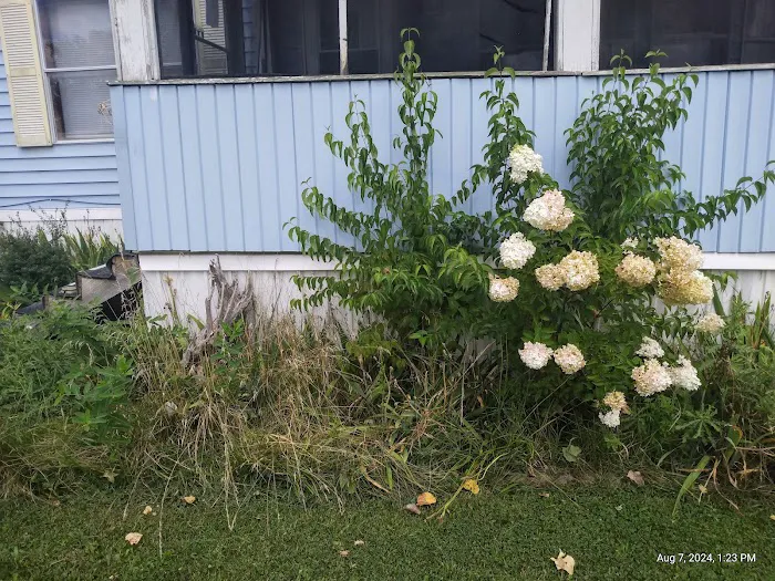 Raintree Village Picture 1