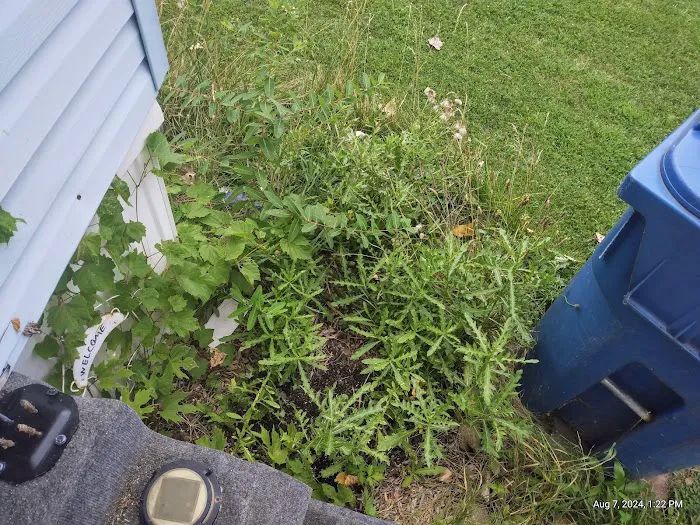 Raintree Village Picture 6