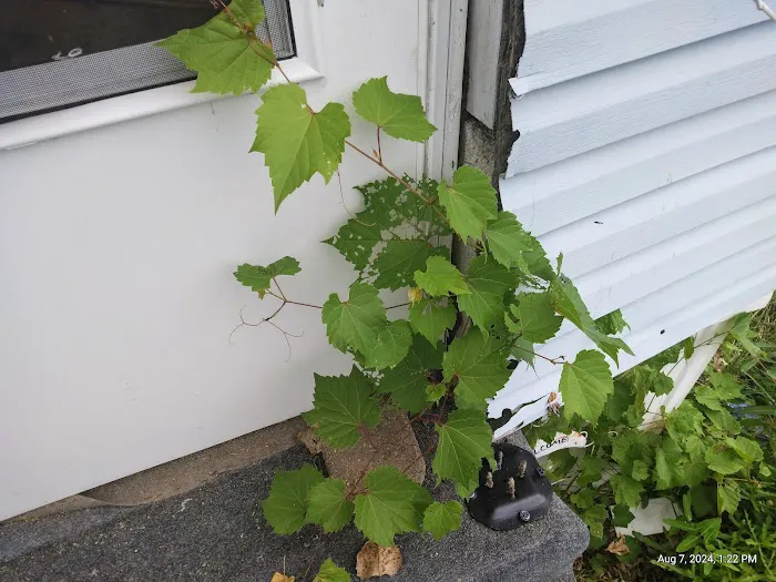 Raintree Village Picture 4