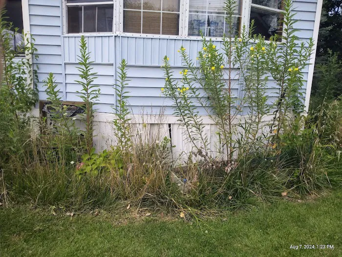 Raintree Village Picture 2