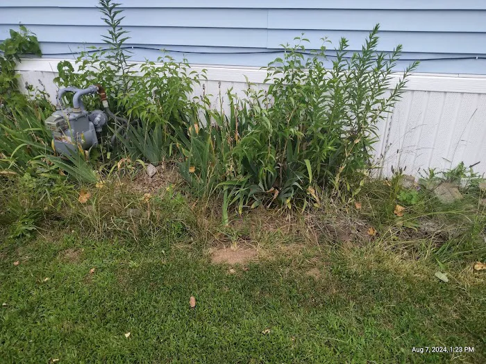 Raintree Village Picture 3