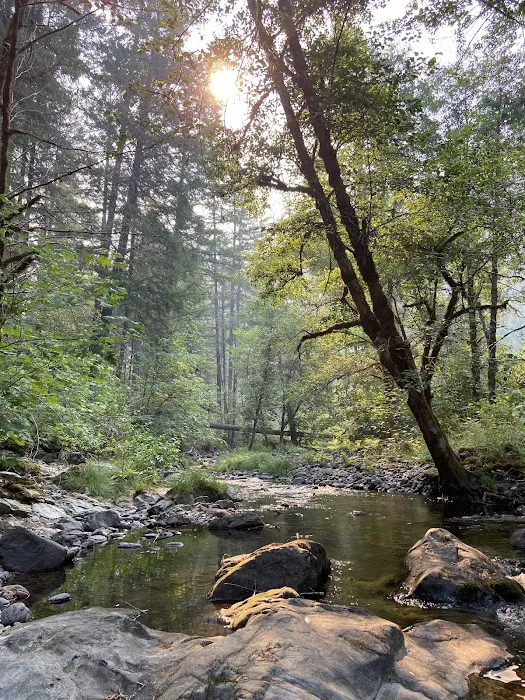Horseshoe Bend Campground Picture 6