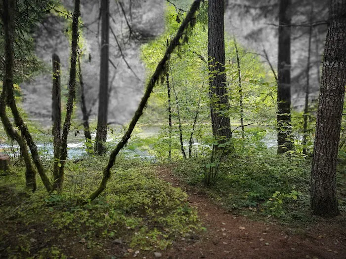 Horseshoe Bend Campground Picture 3