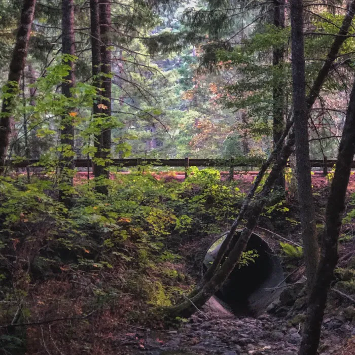 Horseshoe Bend Campground Picture 8