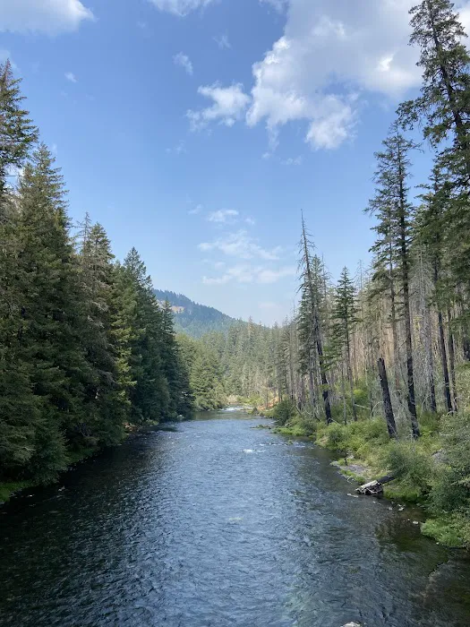 Horseshoe Bend Campground Picture 4