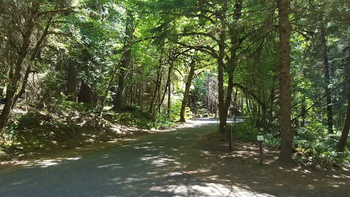 Horseshoe Bend Campground Picture 10