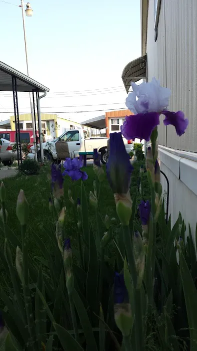 PK Mobile Home Park Picture 2