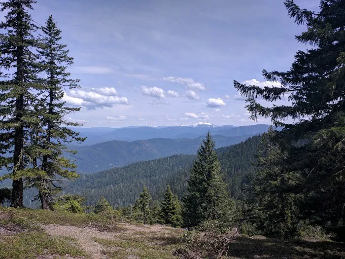 Twin Lakes Shelter Picture 2