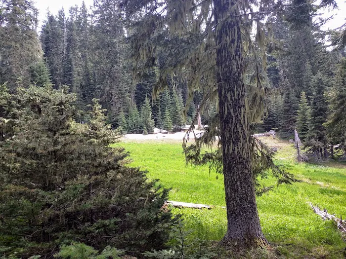 Twin Lakes Shelter Picture 1