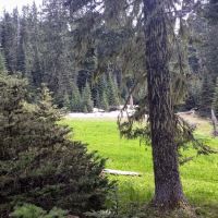 Twin Lakes Shelter ico