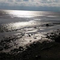 Inverness Mobile Home Community ico