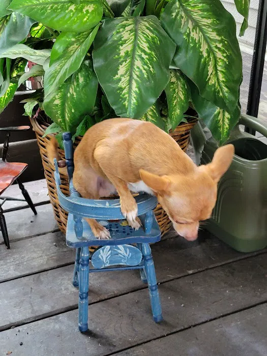 Inverness Mobile Home Community Picture 10