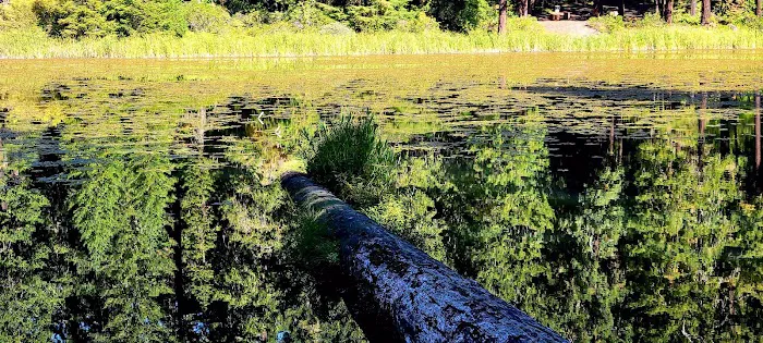 Lake in the Woods Campground Picture 2